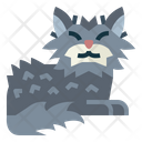 پیش‌نمایش فایل selkirk-rex-cat-7119802 از پک نژادهای گربه