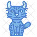 پیش‌نمایش فایل highlander-cat-7119824 از پک نژادهای گربه