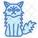 پیش‌نمایش فایل persian-cat-7119833 از پک نژادهای گربه