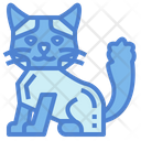 پیش‌نمایش فایل ragdoll-cat-7119836 از پک نژادهای گربه