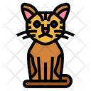پیش‌نمایش فایل american-wirehair-cat-7119707 از پک نژادهای گربه