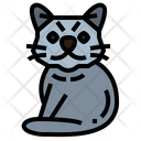 پیش‌نمایش فایل british-shorthair-cat-7119710 از پک نژادهای گربه