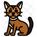 پیش‌نمایش فایل chausie-cat-7119714 از پک نژادهای گربه