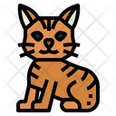 پیش‌نمایش فایل manx-cat-7119720 از پک نژادهای گربه