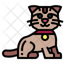 پیش‌نمایش فایل munchkin-cat-7119721 از پک نژادهای گربه