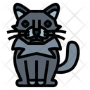 پیش‌نمایش فایل nebelung-cat-7119722 از پک نژادهای گربه