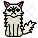 پیش‌نمایش فایل persian-cat-7119725 از پک نژادهای گربه