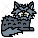 پیش‌نمایش فایل selkirk-rex-cat-7119730 از پک نژادهای گربه