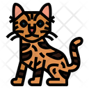 پیش‌نمایش فایل serengeti-cat-7119731 از پک نژادهای گربه