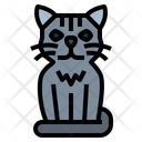پیش‌نمایش فایل shorthair-cat-7119732 از پک نژادهای گربه