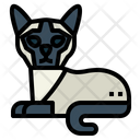 پیش‌نمایش فایل siamese-cat-7119733 از پک نژادهای گربه