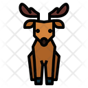 پیش‌نمایش فایل deer-7146466 از پک گوزن