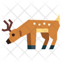پیش‌نمایش فایل deer-7146517 از پک گوزن