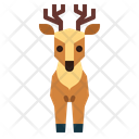 پیش‌نمایش فایل deer-7146521 از پک گوزن