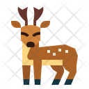 پیش‌نمایش فایل deer-7146526 از پک گوزن