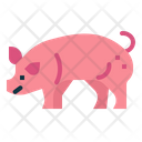 پیش‌نمایش فایل pig-7147421 از پک کشاورز