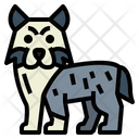 پیش‌نمایش فایل australian-shepherd-7147467 از پک نژاد سگ