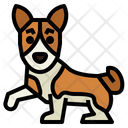 پیش‌نمایش فایل basenji-7147468 از پک نژاد سگ