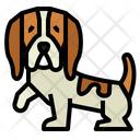 پیش‌نمایش فایل basset-hound-7147469 از پک نژاد سگ