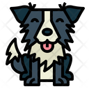 پیش‌نمایش فایل border-collie-7147471 از پک نژاد سگ
