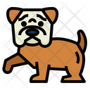 پیش‌نمایش فایل bulldog-7147474 از پک نژاد سگ