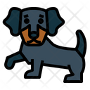 پیش‌نمایش فایل dachshund-7147478 از پک نژاد سگ