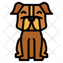 پیش‌نمایش فایل dog-breed-7147481 از پک نژاد سگ