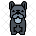 پیش‌نمایش فایل french-bulldog-7147482 از پک نژاد سگ