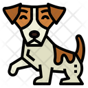 پیش‌نمایش فایل jack-russell-7147486 از پک نژاد سگ