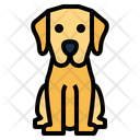 پیش‌نمایش فایل labrador-retriever-7147487 از پک نژاد سگ