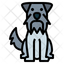 پیش‌نمایش فایل miniature-schnauzer-7147488 از پک نژاد سگ
