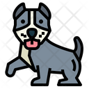 پیش‌نمایش فایل pitbull-7147489 از پک نژاد سگ
