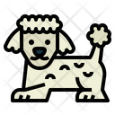 پیش‌نمایش فایل poodle-7147492 از پک نژاد سگ