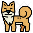 پیش‌نمایش فایل shiba-7147499 از پک نژاد سگ