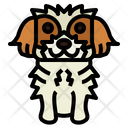 پیش‌نمایش فایل shih-tzu-7147500 از پک نژاد سگ