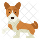 پیش‌نمایش فایل basenji-7147540 از پک نژاد سگ