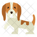 پیش‌نمایش فایل basset-hound-7147541 از پک نژاد سگ