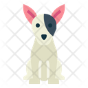 پیش‌نمایش فایل bull-terrier-7147545 از پک نژاد سگ