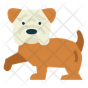 پیش‌نمایش فایل bulldog-7147546 از پک نژاد سگ