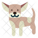 پیش‌نمایش فایل chihuahua-7147547 از پک نژاد سگ