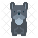پیش‌نمایش فایل french-bulldog-7147554 از پک نژاد سگ