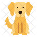 پیش‌نمایش فایل golden-retriever-7147556 از پک نژاد سگ