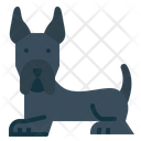 پیش‌نمایش فایل great-dane-7147557 از پک نژاد سگ