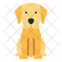 پیش‌نمایش فایل labrador-retriever-7147559 از پک نژاد سگ