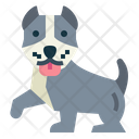 پیش‌نمایش فایل pitbull-7147561 از پک نژاد سگ