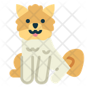 پیش‌نمایش فایل pomeranian-7147563 از پک نژاد سگ