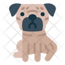 پیش‌نمایش فایل pug-7147565 از پک نژاد سگ