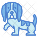 پیش‌نمایش فایل basset-hound-7147577 از پک نژاد سگ