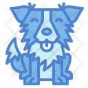 پیش‌نمایش فایل border-collie-7147579 از پک نژاد سگ