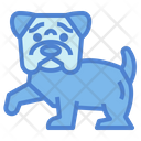 پیش‌نمایش فایل bulldog-7147582 از پک نژاد سگ